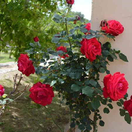 Apartment Da Anna *